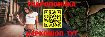 PSILOCYBIN Кулебаки